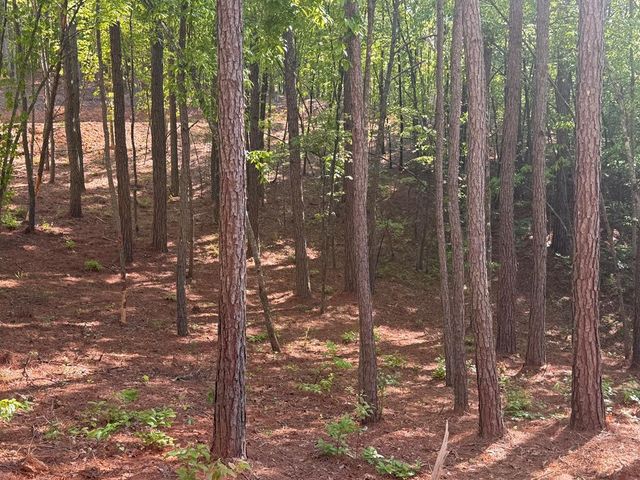 Lot 4 Grassy Creek Road, Copperhill, TN 37317