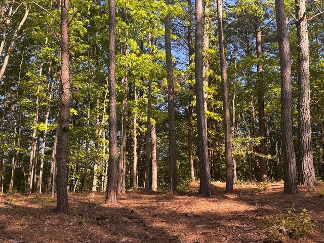 Lot 4 Grassy Creek Road, Copperhill, TN 37317