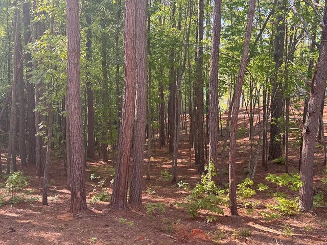 Lot 4 Grassy Creek Road, Copperhill, TN 37317