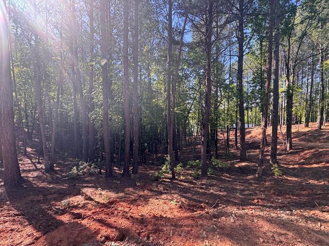 Lot 4 Grassy Creek Road, Copperhill, TN 37317