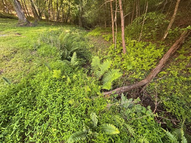 Lot 4 Grassy Creek Road, Copperhill, TN 37317