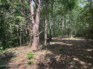 Old Wolf River Rd, Jamestown, TN 38556