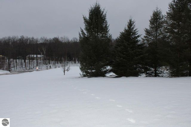 72 NW Wood Road, Rapid City, MI 49676