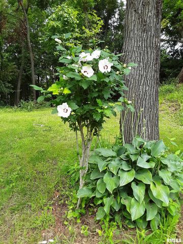 7216 VALLEY Drive, Bettendorf, IA 52722