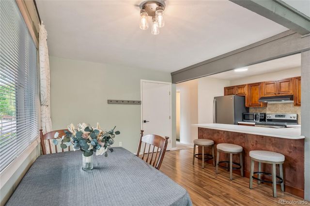 401 Salt Lick Circle 2, Silverthorne, CO 80498