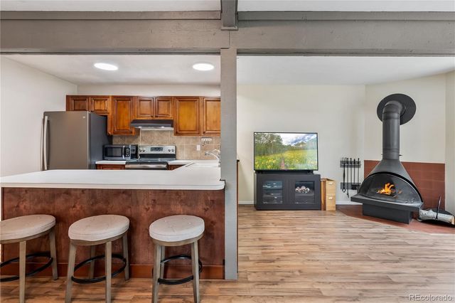 401 Salt Lick Circle 2, Silverthorne, CO 80498