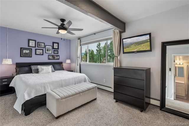 401 Salt Lick Circle 2, Silverthorne, CO 80498