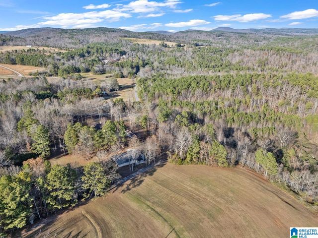 1163 COX COVE ROAD, Hayden, AL 35079