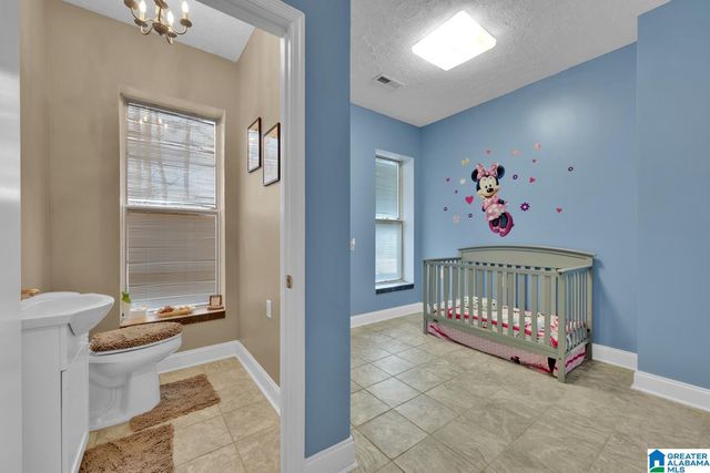 1163 COX COVE ROAD, Hayden, AL 35079