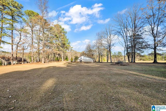 1163 COX COVE ROAD, Hayden, AL 35079
