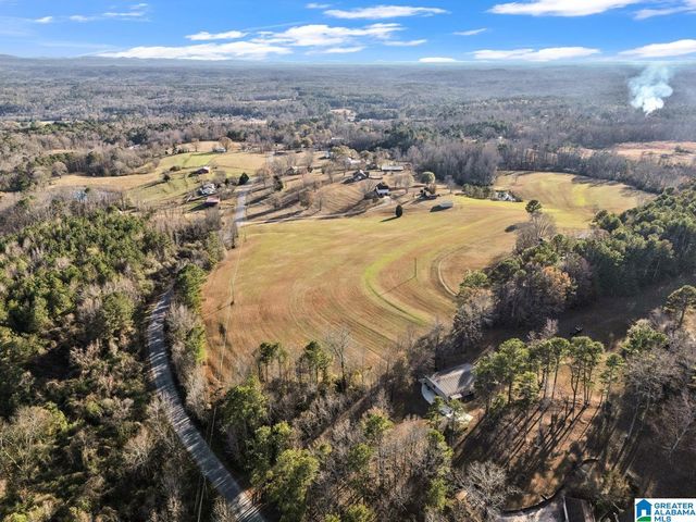 1163 COX COVE ROAD, Hayden, AL 35079