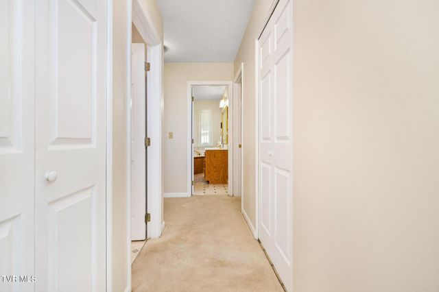 336 Mack Branch Road, Mountain City, TN 37683