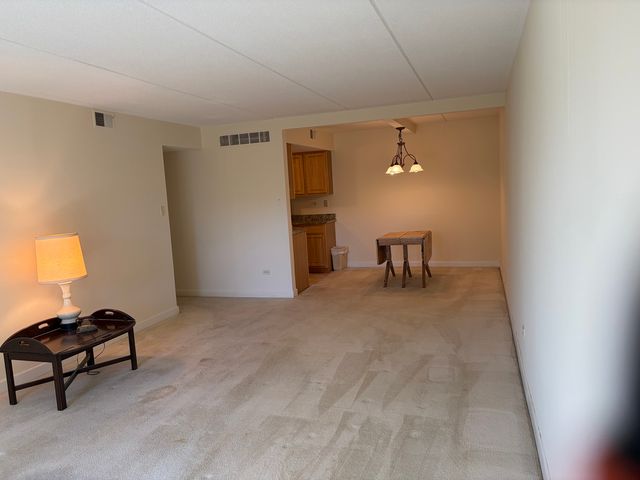512 Redondo Drive 411, Downers Grove, IL 60516