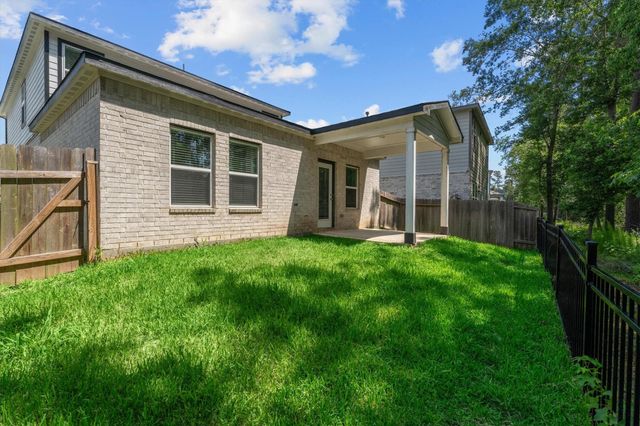 39 Courageous Side Way, Magnolia, TX 77354