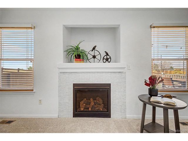9917 Aftonwood St, Highlands Ranch, CO 80126