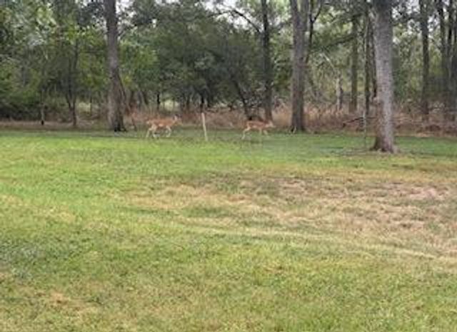 338 W Keanahalululu LN, Bastrop, TX 78602