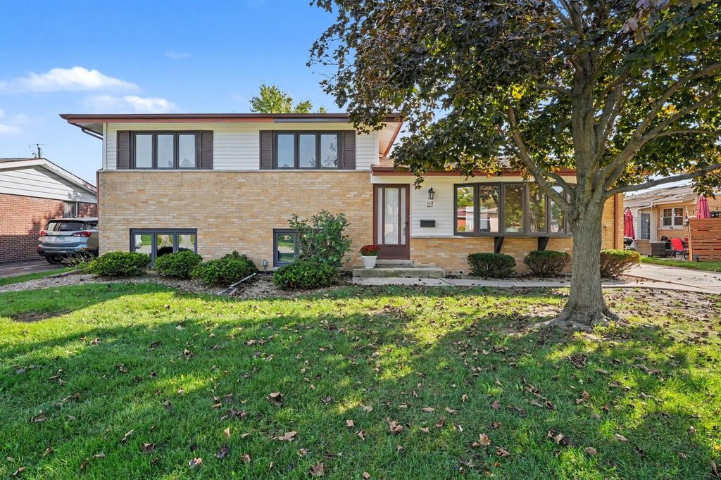 117 N Mayfair Place, Chicago Heights, IL 60411 — exterior