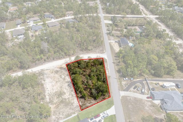 12140 Mississippi Kite Avenue, Brooksville, FL 34614