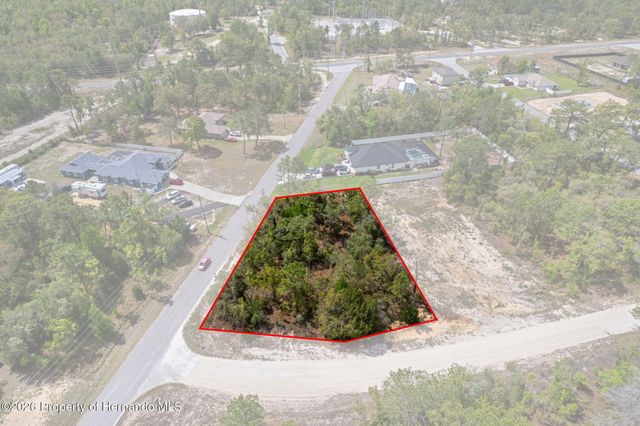 12140 Mississippi Kite Avenue, Brooksville, FL 34614