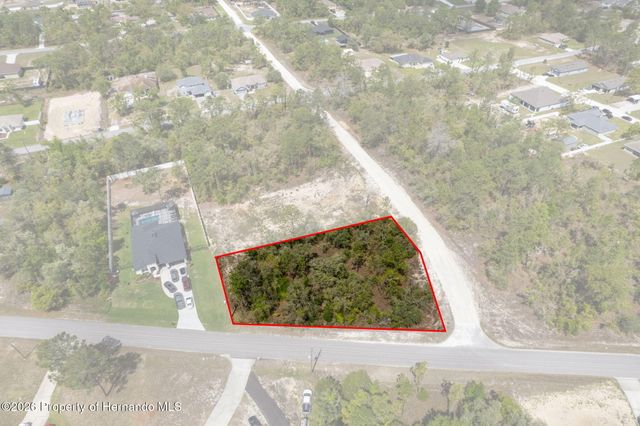 12140 Mississippi Kite Avenue, Brooksville, FL 34614