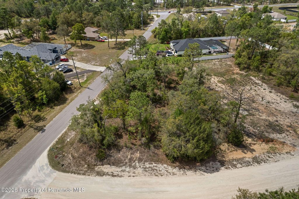 12140 Mississippi Kite Avenue, Brooksville, FL 34614