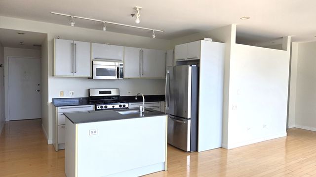 510 W Erie Street 1007, Chicago, IL 60654
