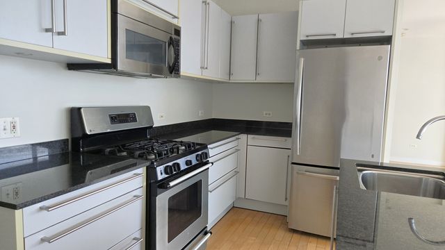 510 W Erie Street 1007, Chicago, IL 60654