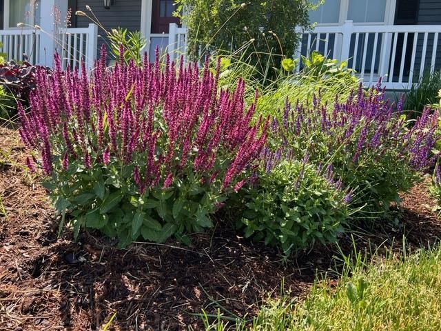 3123 Fran's Drive, Sun Prairie, WI 53590