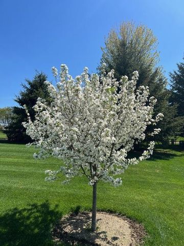 3123 Fran's Drive, Sun Prairie, WI 53590