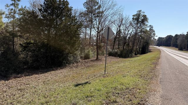 00 State Highway 156, Point Blank, TX 77364