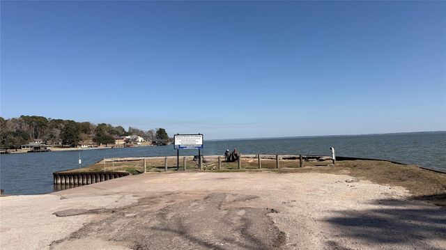 00 State Highway 156, Point Blank, TX 77364