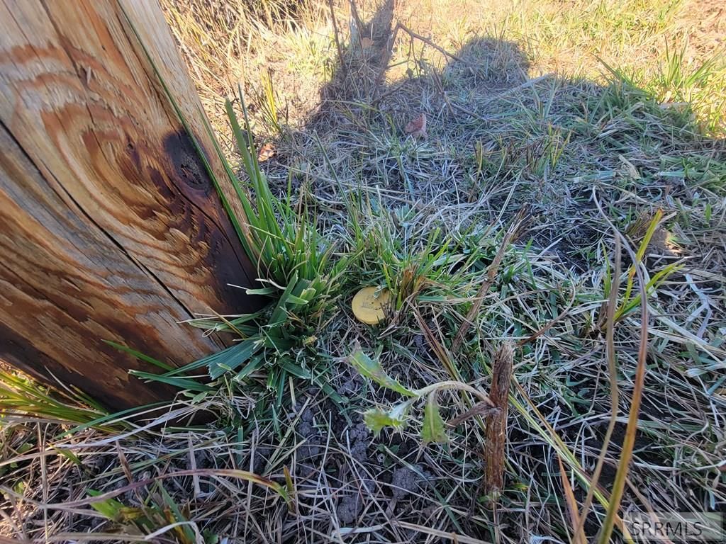 Image 8 of property listing at Lot 19 Golden Leaf Lane, Salmon, ID 83467