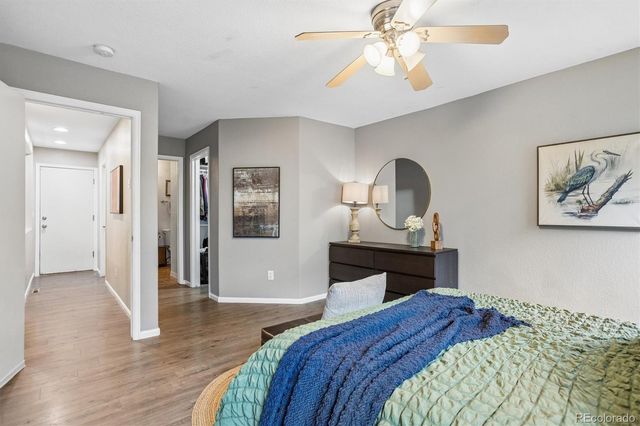 1720 Elk Springs Street, Loveland, CO 80538