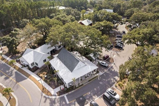 305 Livewell Court, Johns Island, SC 29455