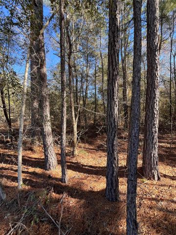 86 Coyote Run, Willis, TX 77378