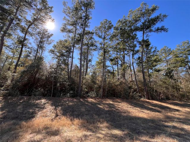 86 Coyote Run, Willis, TX 77378