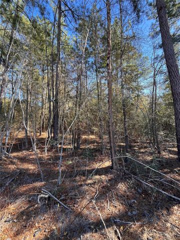 86 Coyote Run, Willis, TX 77378