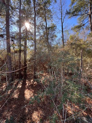 86 Coyote Run, Willis, TX 77378
