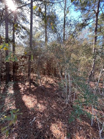 86 Coyote Run, Willis, TX 77378
