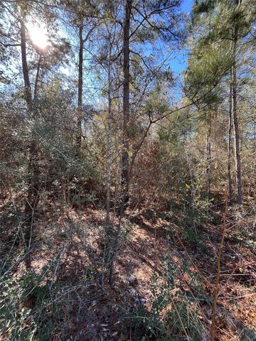 86 Coyote Run, Willis, TX 77378