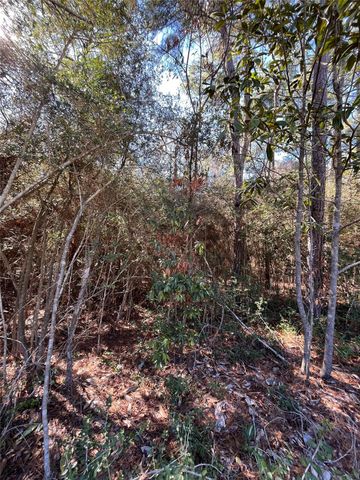 86 Coyote Run, Willis, TX 77378