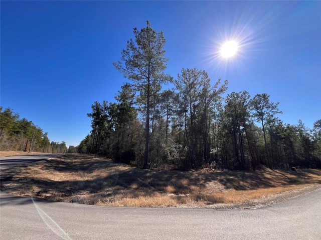 86 Coyote Run, Willis, TX 77378