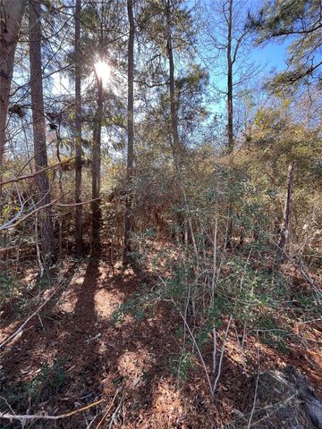 86 Coyote Run, Willis, TX 77378
