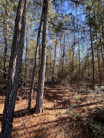 86 Coyote Run, Willis, TX 77378