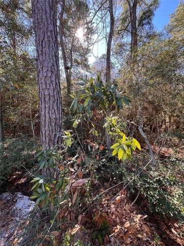 86 Coyote Run, Willis, TX 77378