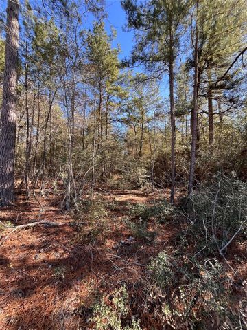 86 Coyote Run, Willis, TX 77378