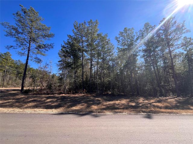 86 Coyote Run, Willis, TX 77378