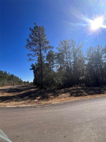 86 Coyote Run, Willis, TX 77378