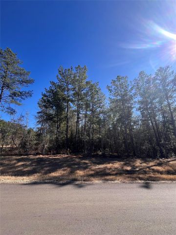86 Coyote Run, Willis, TX 77378