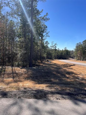 86 Coyote Run, Willis, TX 77378